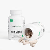 Sea Moss