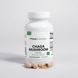 Chaga Mushroom